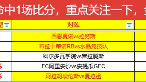 焦点战：火焰队再续连胜传奇，狂热对决精彩情报大