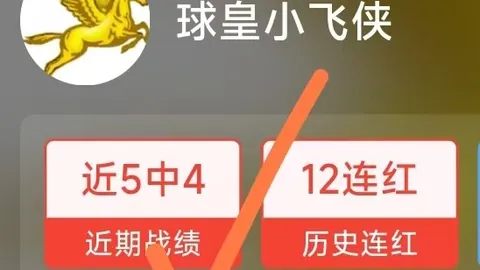 篮球排行榜冠军世界杯门票：盈丽领跑，狂热能否一展雄风